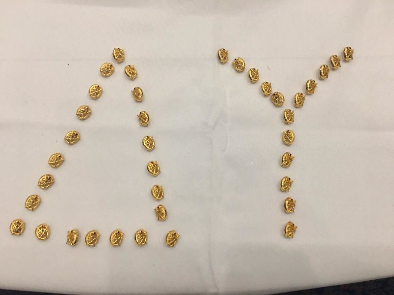 Delta Upsilon/Arizona State Reinstallation - October 24, 2020