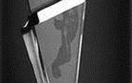 Iota Beta named NIC Chapter of Distinction Image for Iota Beta named NIC Chapter of Distinction