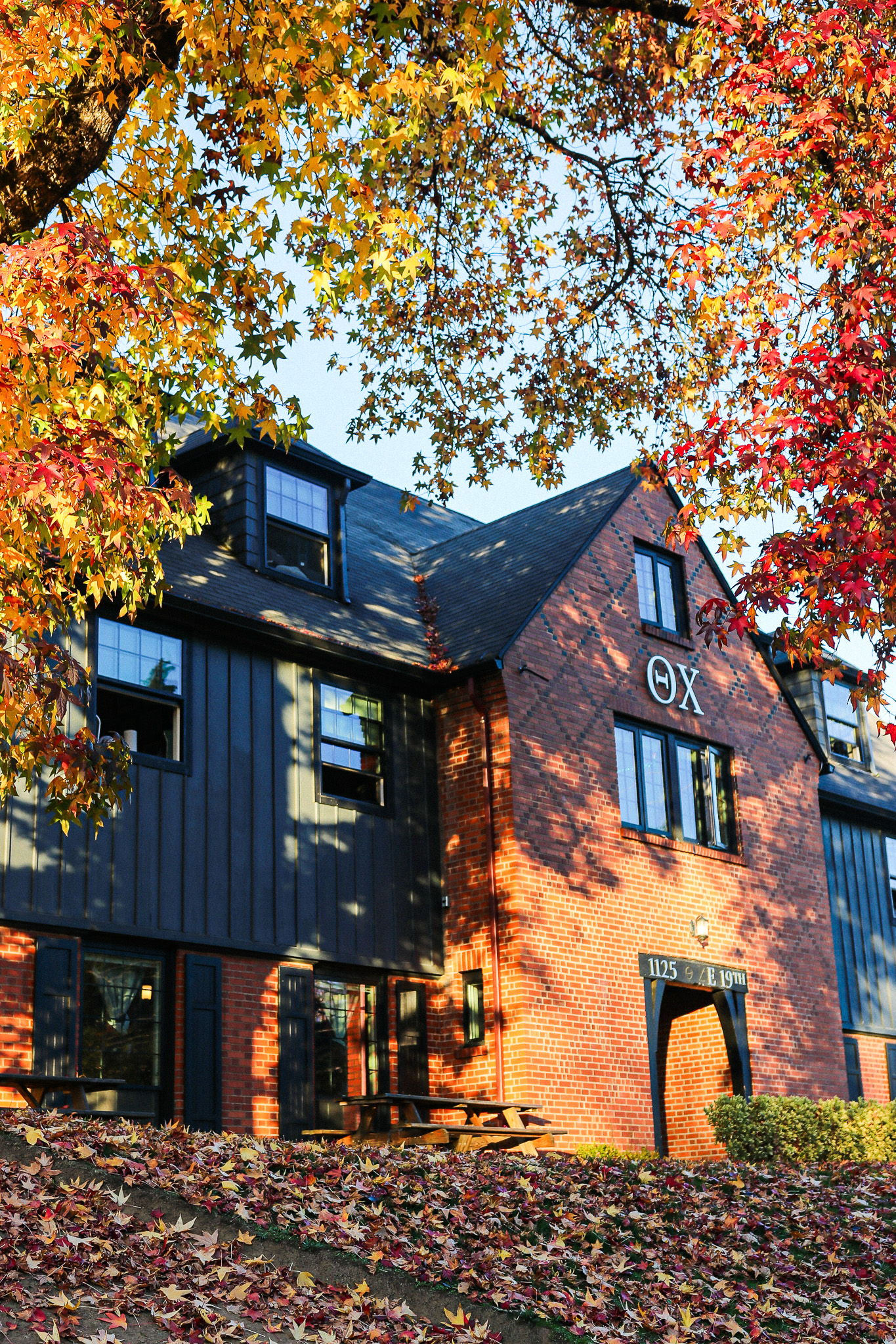 Image for Alpha Sigma