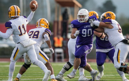 Linfield's Eminence Grise Image for Linfield's Eminence Grise