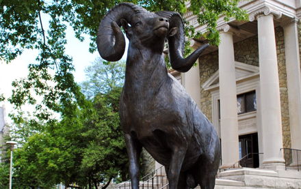 #WCUPresidential Shadow: Jared Brown, Director of New Student Programs Image for #WCUPresidential Shadow: Jared Brown, Director of New Student Programs